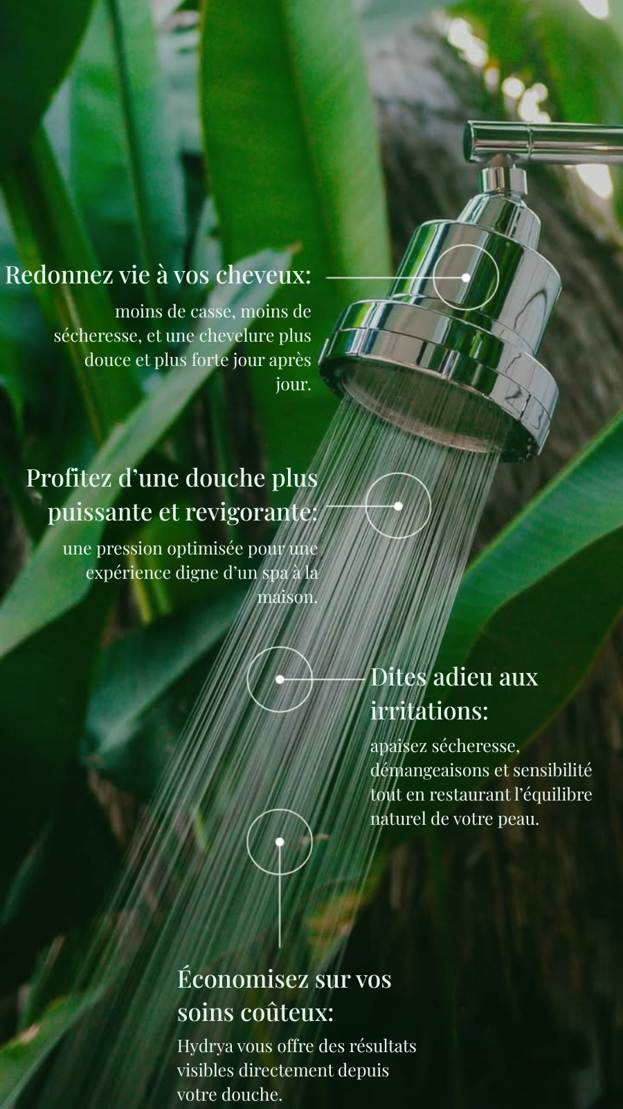 Pomme de douche - Chrome