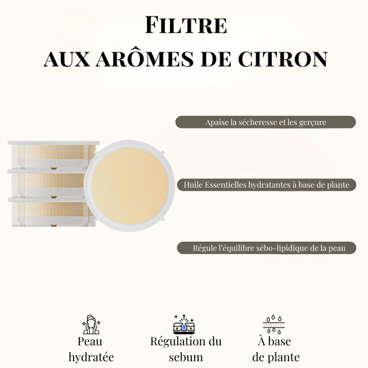Filtre Pommeau - Aux Arômes De Citron